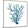 Blue Coral-OnRei-Mounted Art Print