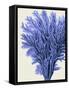 Blue Corals 2 a-Fab Funky-Framed Stretched Canvas