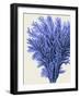 Blue Corals 2 a-Fab Funky-Framed Art Print