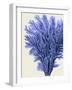 Blue Corals 2 a-Fab Funky-Framed Art Print