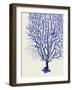 Blue Corals 2 b-Fab Funky-Framed Art Print