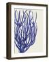 Blue Corals 2 c-Fab Funky-Framed Art Print