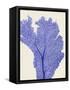 Blue Corals 2 e-Fab Funky-Framed Stretched Canvas