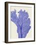 Blue Corals 2 e-Fab Funky-Framed Art Print