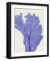 Blue Corals 2 e-Fab Funky-Framed Art Print
