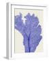 Blue Corals 2 e-Fab Funky-Framed Art Print