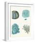 Blue Corals and Sea Urchins in 4 Panels-Fab Funky-Framed Art Print