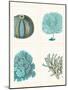 Blue Corals and Sea Urchins in 4 Panels-Fab Funky-Mounted Art Print