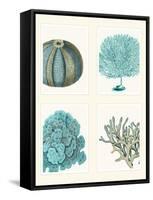 Blue Corals and Sea Urchins in 4 Panels-Fab Funky-Framed Stretched Canvas