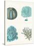 Blue Corals and Sea Urchins in 4 Panels-Fab Funky-Stretched Canvas