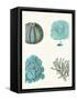 Blue Corals and Sea Urchins in 4 Panels-Fab Funky-Framed Stretched Canvas