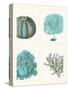 Blue Corals and Sea Urchins in 4 Panels-Fab Funky-Stretched Canvas