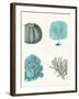 Blue Corals and Sea Urchins in 4 Panels-Fab Funky-Framed Art Print