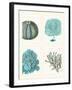 Blue Corals and Sea Urchins in 4 Panels-Fab Funky-Framed Art Print