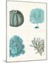 Blue Corals and Sea Urchins in 4 Panels-Fab Funky-Mounted Art Print