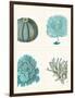 Blue Corals and Sea Urchins in 4 Panels-Fab Funky-Framed Art Print