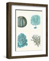 Blue Corals and Sea Urchins in 4 Panels-Fab Funky-Framed Art Print