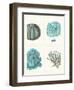 Blue Corals and Sea Urchins in 4 Panels-Fab Funky-Framed Art Print