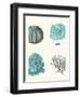 Blue Corals and Sea Urchins in 4 Panels-Fab Funky-Framed Art Print