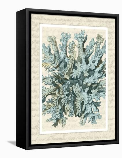 Blue Corals On VIntage Script c-Fab Funky-Framed Stretched Canvas