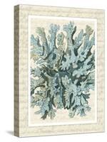 Blue Corals On VIntage Script c-Fab Funky-Stretched Canvas