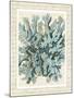 Blue Corals On VIntage Script c-Fab Funky-Mounted Art Print