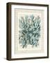 Blue Corals On VIntage Script c-Fab Funky-Framed Art Print