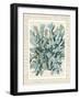 Blue Corals On VIntage Script c-Fab Funky-Framed Art Print