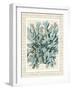 Blue Corals On VIntage Script c-Fab Funky-Framed Art Print