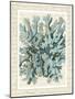 Blue Corals On VIntage Script c-Fab Funky-Mounted Art Print