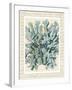 Blue Corals On VIntage Script c-Fab Funky-Framed Art Print