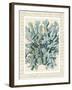 Blue Corals On VIntage Script c-Fab Funky-Framed Art Print