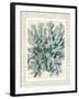 Blue Corals On VIntage Script c-Fab Funky-Framed Art Print