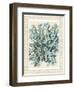 Blue Corals On VIntage Script c-Fab Funky-Framed Art Print