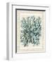 Blue Corals On VIntage Script c-Fab Funky-Framed Art Print