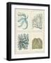 Blue Corals On Vintage Script in 4 Panels-Fab Funky-Framed Art Print