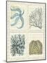 Blue Corals On Vintage Script in 4 Panels-Fab Funky-Mounted Art Print