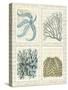 Blue Corals On Vintage Script in 4 Panels-Fab Funky-Stretched Canvas