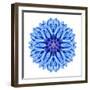 Blue Cornflower Mandala Flower Kaleidoscope-tr3gi-Framed Art Print