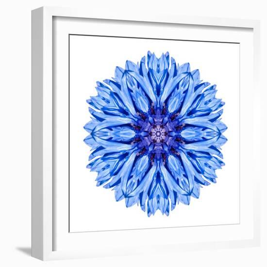 Blue Cornflower Mandala Flower Kaleidoscope-tr3gi-Framed Art Print