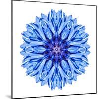 Blue Cornflower Mandala Flower Kaleidoscope-tr3gi-Mounted Art Print