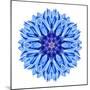 Blue Cornflower Mandala Flower Kaleidoscope-tr3gi-Mounted Art Print