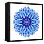 Blue Cornflower Mandala Flower Kaleidoscope-tr3gi-Framed Stretched Canvas