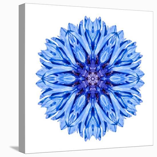 Blue Cornflower Mandala Flower Kaleidoscope-tr3gi-Stretched Canvas