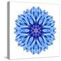 Blue Cornflower Mandala Flower Kaleidoscope-tr3gi-Stretched Canvas