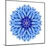 Blue Cornflower Mandala Flower Kaleidoscope-tr3gi-Mounted Art Print