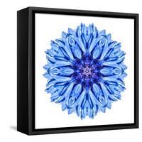 Blue Cornflower Mandala Flower Kaleidoscope-tr3gi-Framed Stretched Canvas