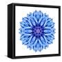 Blue Cornflower Mandala Flower Kaleidoscope-tr3gi-Framed Stretched Canvas