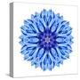 Blue Cornflower Mandala Flower Kaleidoscope-tr3gi-Stretched Canvas