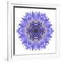 Blue Cornflower Mandala Flower Kaleidoscope-tr3gi-Framed Art Print